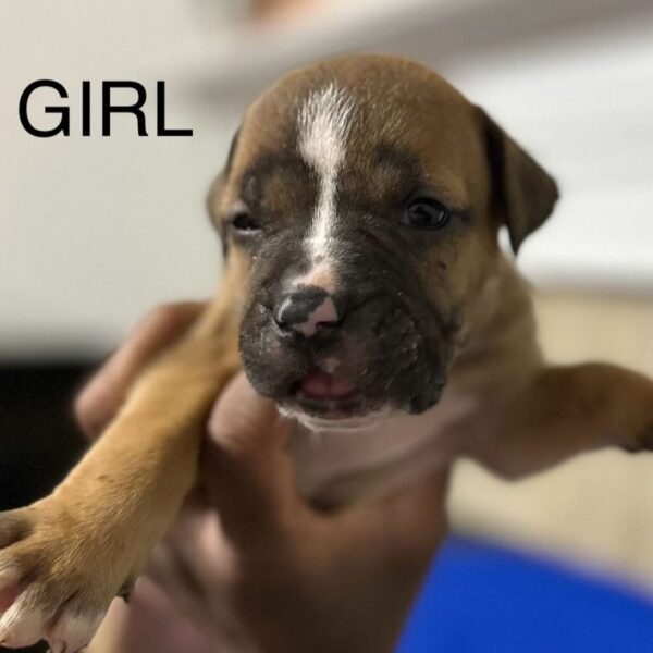 Girl C