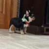 crumpet - Image 3