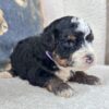 Maddy - Image 5