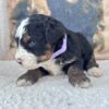 Maddy - Image 4