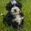 Maddy - Image 2