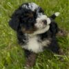 Maddy - Image 3