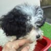 Lucy - Image 2